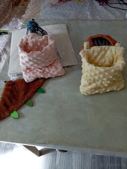 Vakoveverka létavá-samička - 4