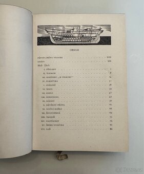 Bílá velryba - Herman Melville - 4