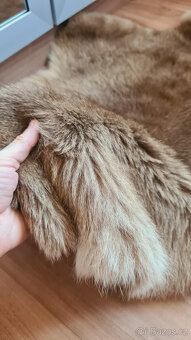 Pravá klokaní kožešina z Austrálie (5) - 4