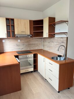 Pronájem bytu 2+1 - 4