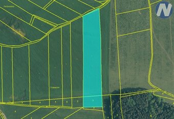 Lipovice, zemědělské a lesní pozemky, 72 564 m2 - 4