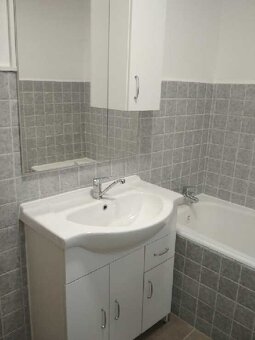 Pronajmu byt 2+1 - 4