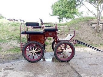 Wagoneta za pony - 4