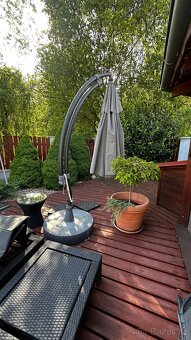 Prodam velky slunecnik - 4