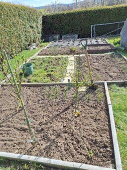 Prodám zahrádku - 4