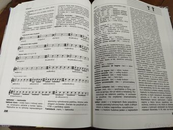 HUDOBNÝ TERMINOLOGICKÝ SLOVNÍK--Jozef Laborecký--počet strán - 4