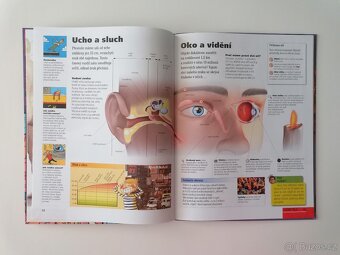 Lidské tělo Dokéo nové - 4