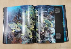 Útes - obrazová publikace - 4