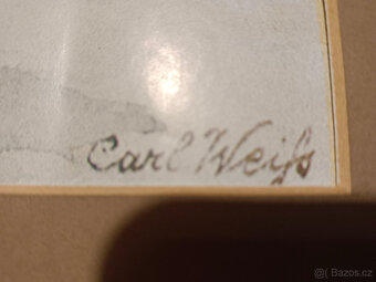 soubor obrázků, replik obrazů Weiss - 4