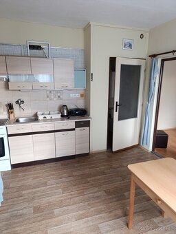 Pronájem bytu 1+1 - 4