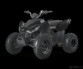 LINHAI ATV 110 2X4 EFI CE - 4