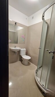 Byt k pronájmu 1+1 ve vile se zahradou Dubí u Teplic - 4