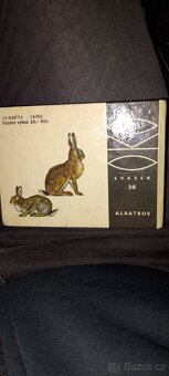 Rusko-český slovník+náš les albatros - 4