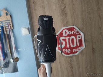 Crowned Attack 100 - 4