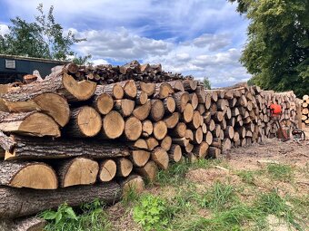 Palivové dříví - 4