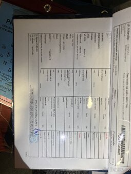 Velká 4letá klisna do sportu - 4