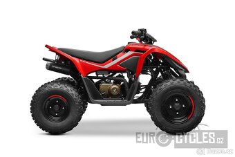 CFMOTO Gladiator X 110 LE - 4