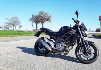 Suzuki SFV 650 Gladius - 4