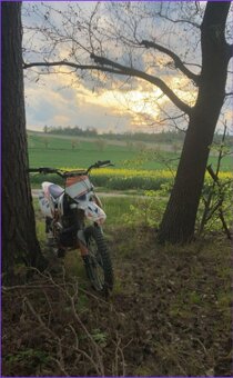 pit bike Minirocket huriccan 150ccm - 4