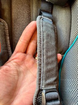 Miminkovník Qeridoo - 4