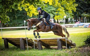 Pony B do sportu - 4