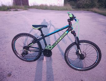 ✅ MTB/DIRT Leader Fox Sport XC, 8x3r, 24" ✅ - 4