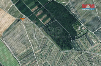 Prodej pole, 300 m², Dolní Bojanovice - 4