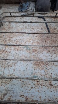 Skoda 100 a felicie - 4