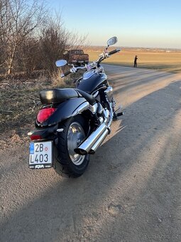 Suzuki M 800 Intruder - 4
