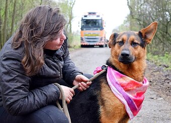 FIBI K ADOPCI - HODNÉ ZLATÍČKO, ZASLOUŽÍ SI MILUJÍCÍ RODINU - 4