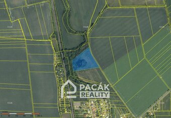 Prodej rybník, 15 995 m2 - Kožušany-Tážaly - Kožušany - 4