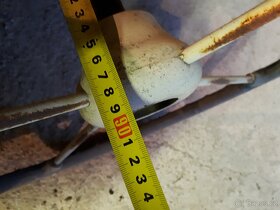 Volant Praga V3S, S5T, Praga RN. - 4