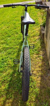 CTM Zephyr Xpert 29 Light Green/Dark Grey - 4