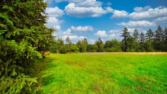 Stavební pozemek 2603 m2, Jevany - 4