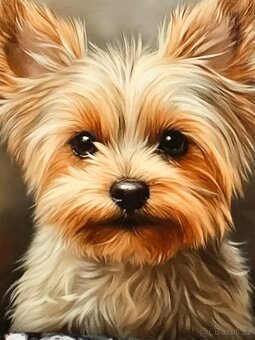 přívěs ,...55cm - 4