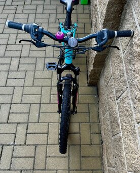 Kolo Kellys Kiter 50 - 4