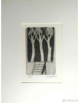 Vladimír Komárek - grafiky 2.část - 4