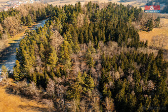 Prodej lesa, 42761 m², Nišovice - 4