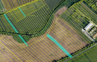 Prodej polí s výbornou bonitou nedaleko Hodonína – 2,8 ha - 4