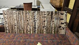 OBRAZY - různé druhy - 4