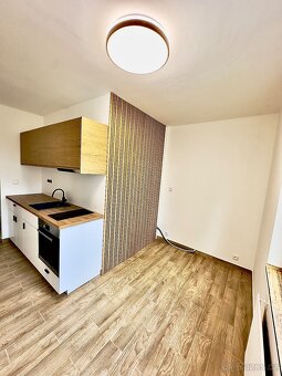 Pronájem bytu  1+1 - 4