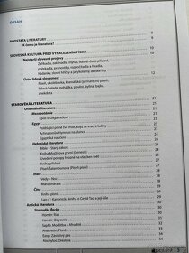 Čítanka I k literatuře v kostce pro střední školy - 4