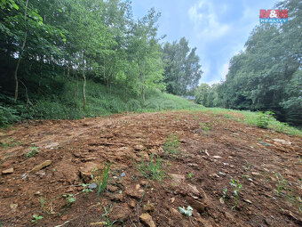Prodej pozemku k bydlení, 2559 m², Třebařov - 4