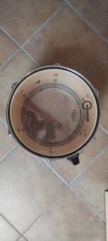 TT Basix Xenon 12"x8" - 4