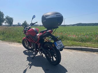 Benelli BN 125 - 2019 - Červená - 4