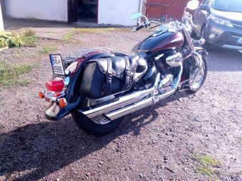 Suzuki VL 800 Volusia - 4