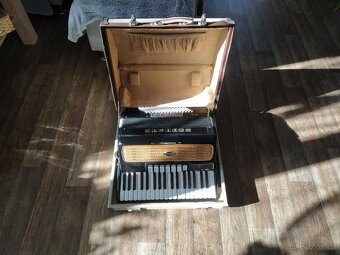 Akordeon Delicia - 4