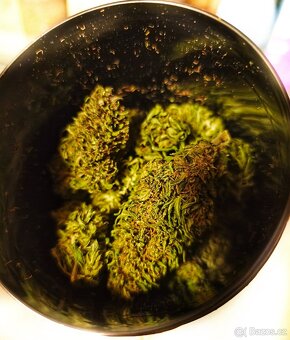 Silná BIO konopná mast nebo balzám - 4