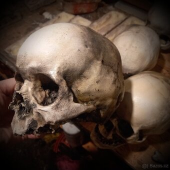 Lebka žeba 3d tisk - 4