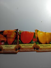 Sazenice paprik - raná i masitá - 4